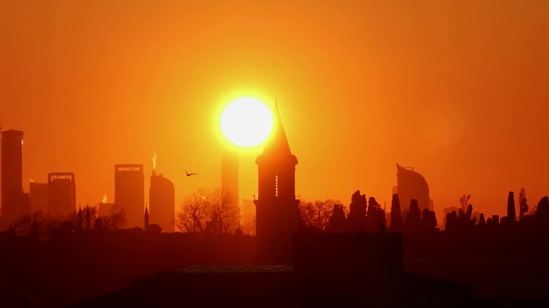 Extreme Heat Preparedness